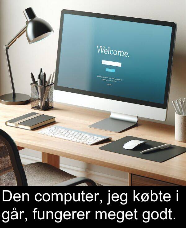 købte: Den computer, jeg købte i går, fungerer meget godt.