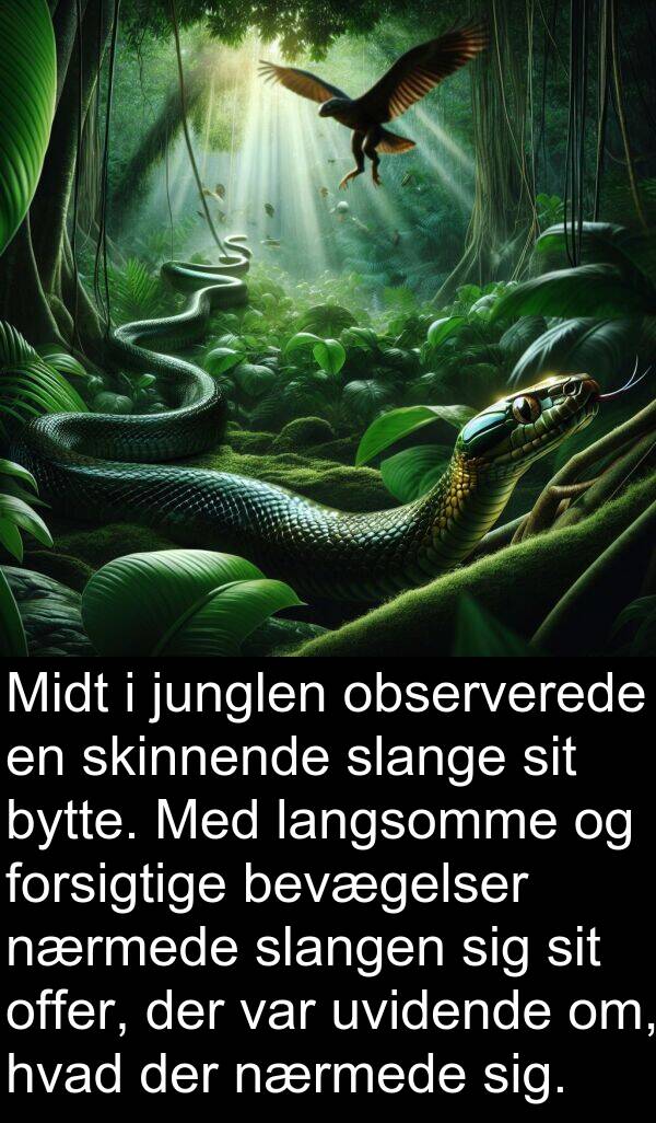 observerede: Midt i junglen observerede en skinnende slange sit bytte. Med langsomme og forsigtige bevægelser nærmede slangen sig sit offer, der var uvidende om, hvad der nærmede sig.