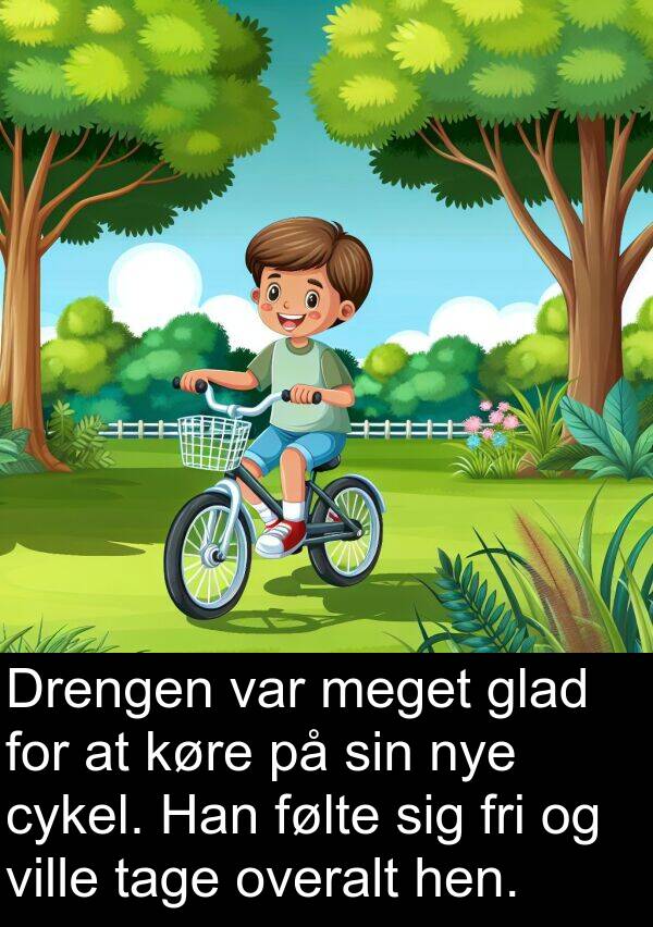 hen: Drengen var meget glad for at køre på sin nye cykel. Han følte sig fri og ville tage overalt hen.