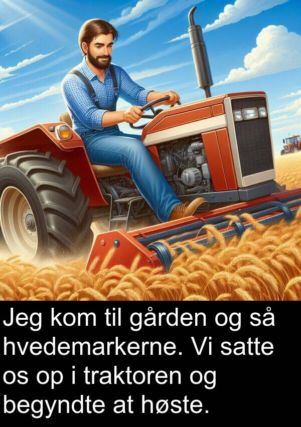 gården: Jeg kom til gården og så hvedemarkerne. Vi satte os op i traktoren og begyndte at høste.