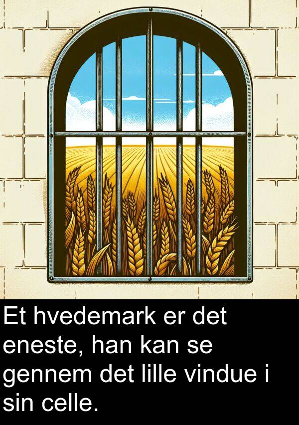 vindue: Et hvedemark er det eneste, han kan se gennem det lille vindue i sin celle.
