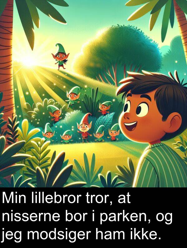 bor: Min lillebror tror, at nisserne bor i parken, og jeg modsiger ham ikke.