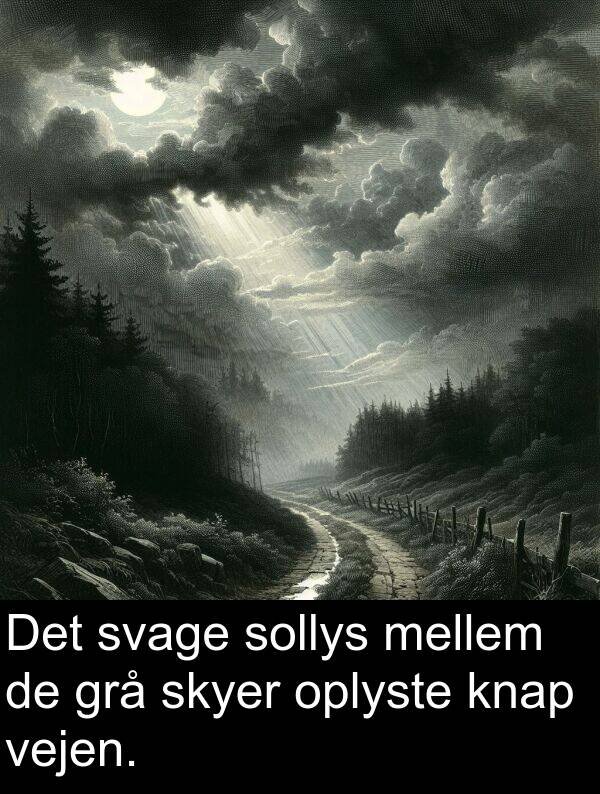 vejen: Det svage sollys mellem de grå skyer oplyste knap vejen.