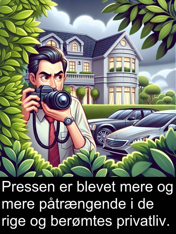 rige: Pressen er blevet mere og mere påtrængende i de rige og berømtes privatliv.