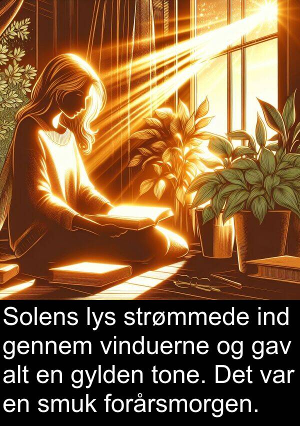 ind: Solens lys strømmede ind gennem vinduerne og gav alt en gylden tone. Det var en smuk forårsmorgen.