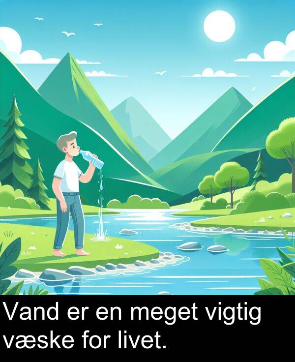 vigtig: Vand er en meget vigtig væske for livet.
