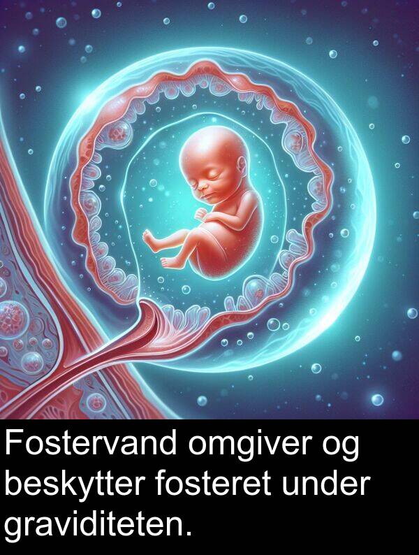 under: Fostervand omgiver og beskytter fosteret under graviditeten.