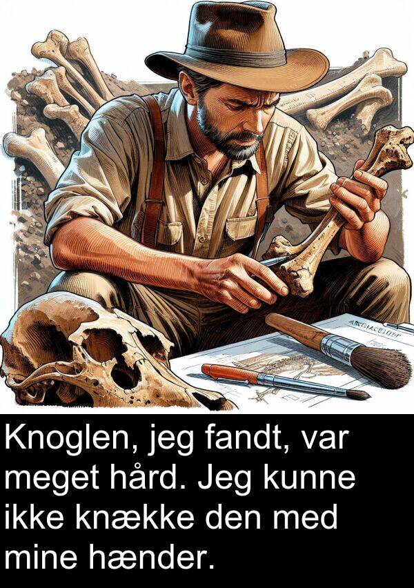 hård: Knoglen, jeg fandt, var meget hård. Jeg kunne ikke knække den med mine hænder.