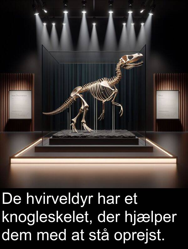 hjælper: De hvirveldyr har et knogleskelet, der hjælper dem med at stå oprejst.