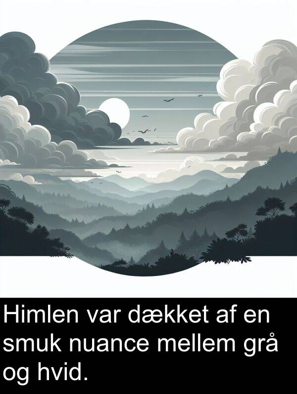 nuance: Himlen var dækket af en smuk nuance mellem grå og hvid.