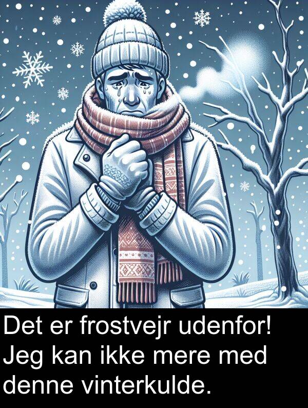 vinterkulde: Det er frostvejr udenfor! Jeg kan ikke mere med denne vinterkulde.