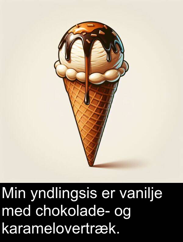 vanilje: Min yndlingsis er vanilje med chokolade- og karamelovertræk.