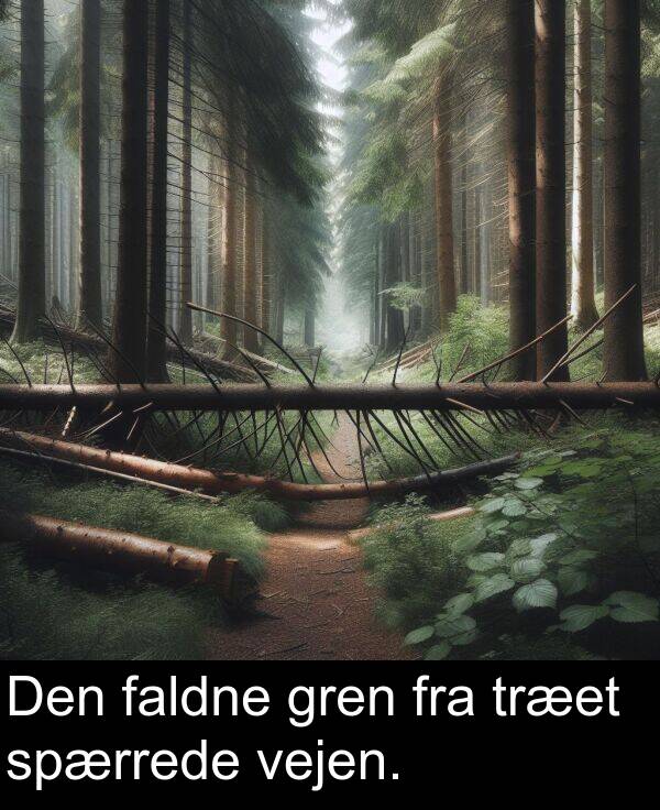 vejen: Den faldne gren fra træet spærrede vejen.