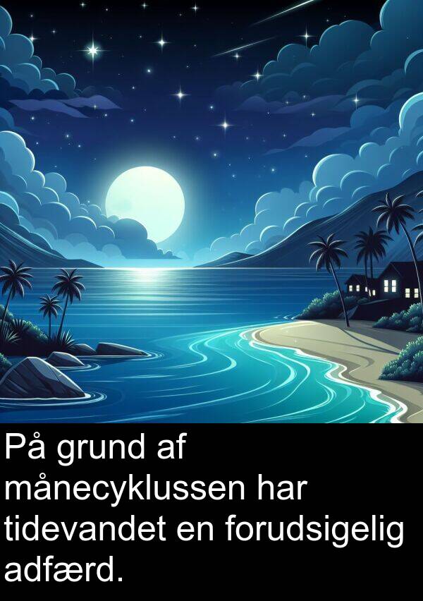 månecyklussen: På grund af månecyklussen har tidevandet en forudsigelig adfærd.