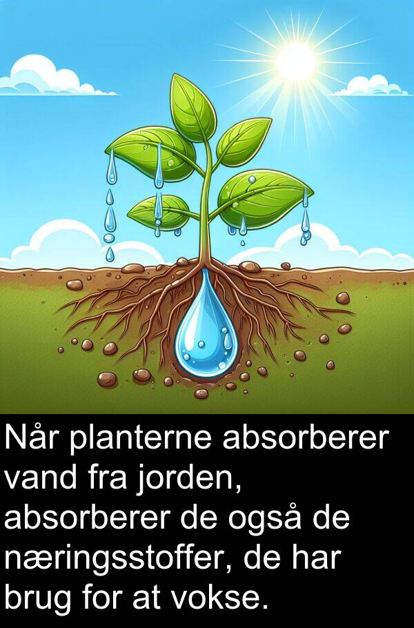 absorberer: Når planterne absorberer vand fra jorden, absorberer de også de næringsstoffer, de har brug for at vokse.