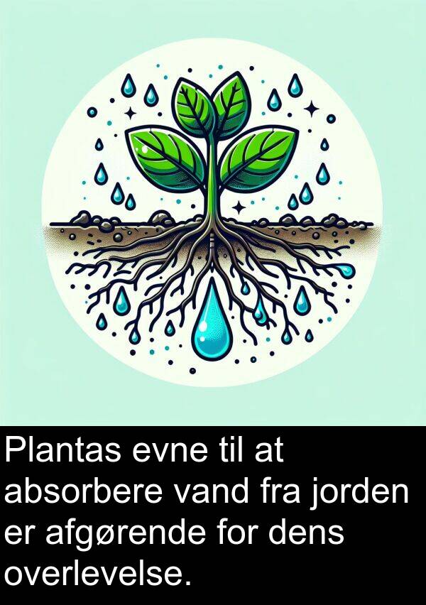 vand: Plantas evne til at absorbere vand fra jorden er afgørende for dens overlevelse.