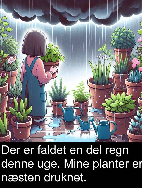 faldet: Der er faldet en del regn denne uge. Mine planter er næsten druknet.
