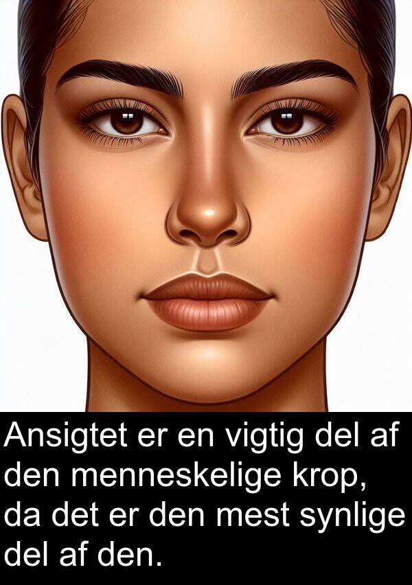 krop: Ansigtet er en vigtig del af den menneskelige krop, da det er den mest synlige del af den.