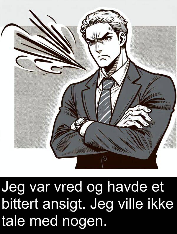 vred: Jeg var vred og havde et bittert ansigt. Jeg ville ikke tale med nogen.