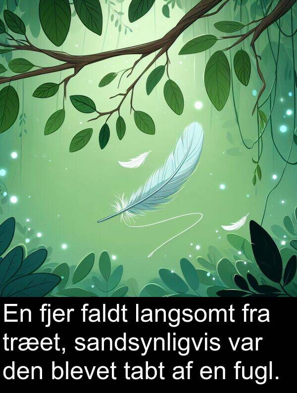 sandsynligvis: En fjer faldt langsomt fra træet, sandsynligvis var den blevet tabt af en fugl.