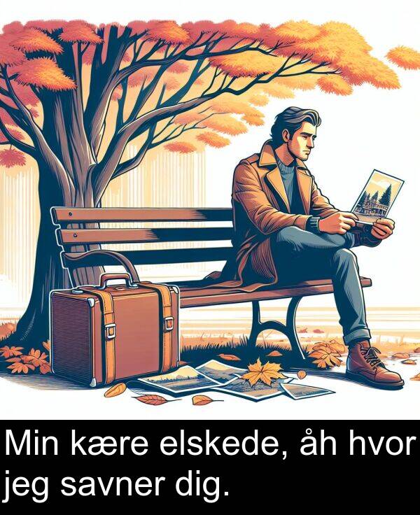 kære: Min kære elskede, åh hvor jeg savner dig.