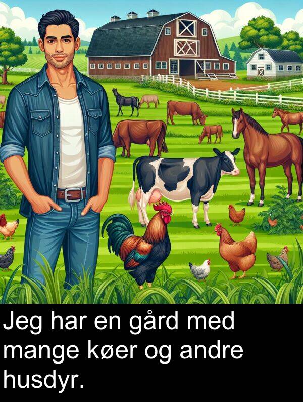 køer: Jeg har en gård med mange køer og andre husdyr.
