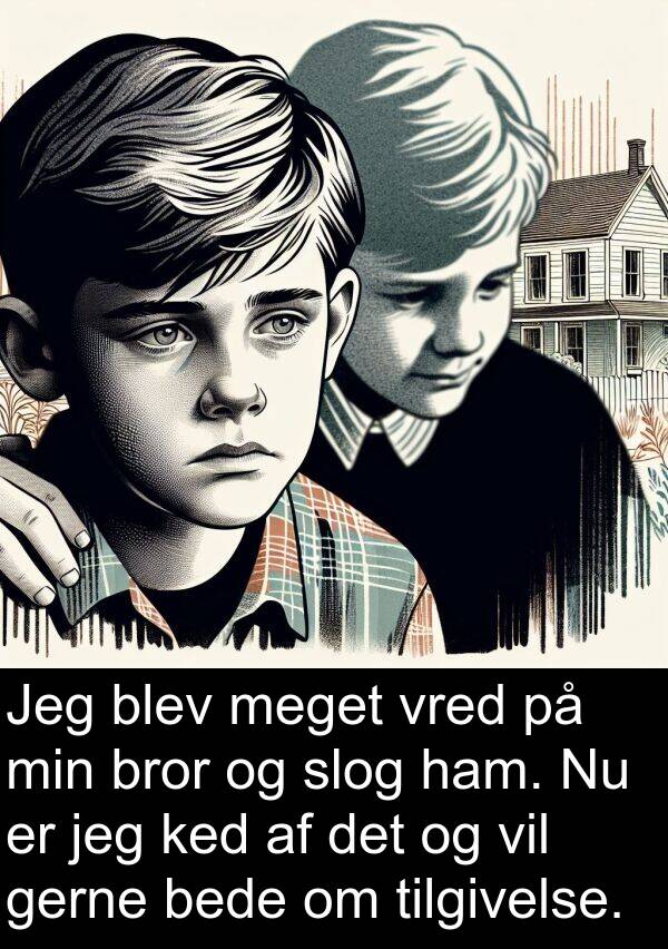 ked: Jeg blev meget vred på min bror og slog ham. Nu er jeg ked af det og vil gerne bede om tilgivelse.