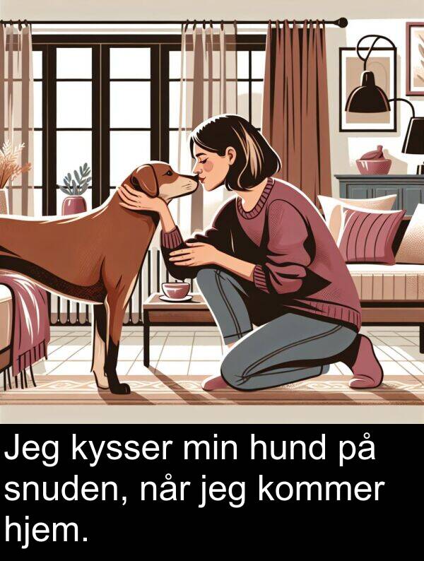 kysser: Jeg kysser min hund på snuden, når jeg kommer hjem.