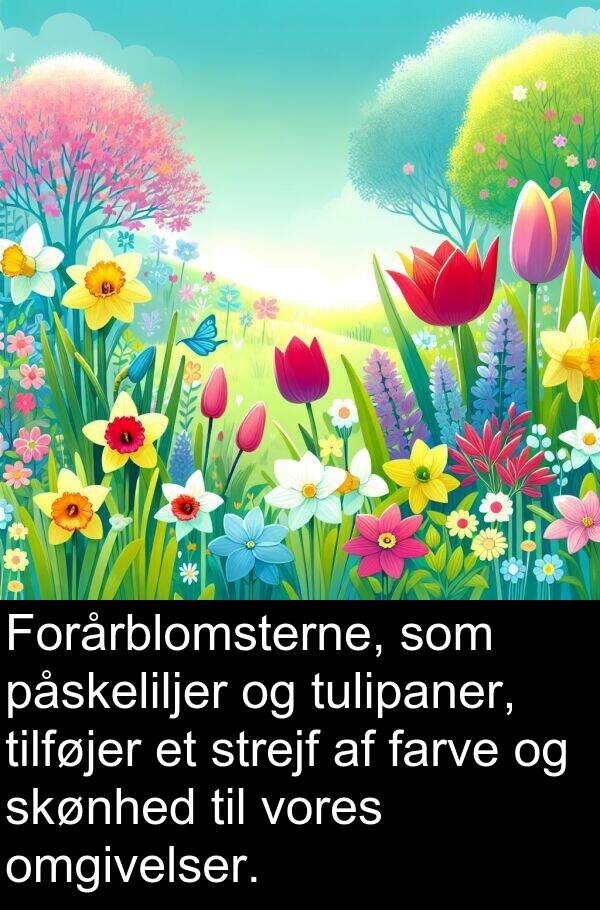 farve: Forårblomsterne, som påskeliljer og tulipaner, tilføjer et strejf af farve og skønhed til vores omgivelser.