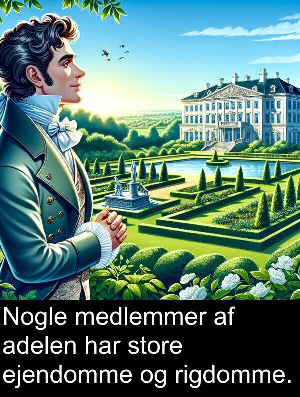 rigdomme: Nogle medlemmer af adelen har store ejendomme og rigdomme.
