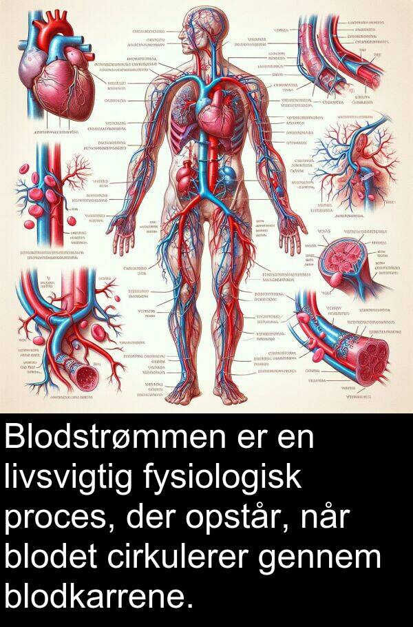 proces: Blodstrømmen er en livsvigtig fysiologisk proces, der opstår, når blodet cirkulerer gennem blodkarrene.