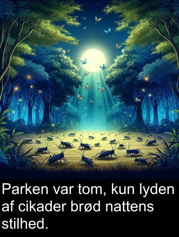 kun: Parken var tom, kun lyden af cikader brød nattens stilhed.
