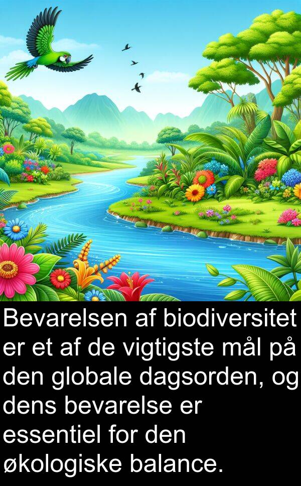 økologiske: Bevarelsen af biodiversitet er et af de vigtigste mål på den globale dagsorden, og dens bevarelse er essentiel for den økologiske balance.