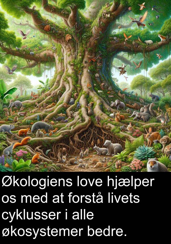 økosystemer: Økologiens love hjælper os med at forstå livets cyklusser i alle økosystemer bedre.