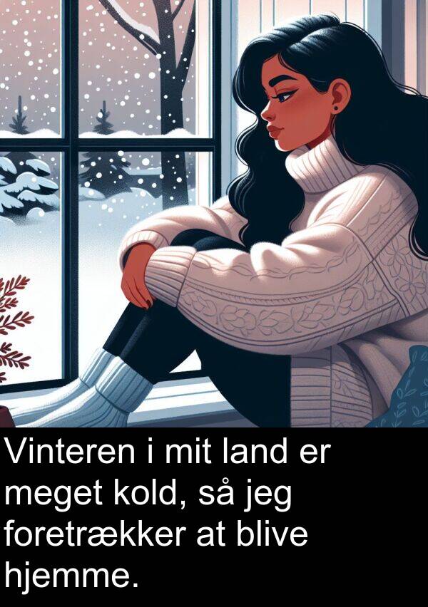 hjemme: Vinteren i mit land er meget kold, så jeg foretrækker at blive hjemme.