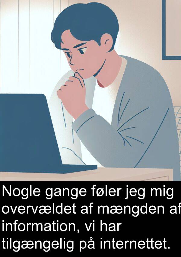mængden: Nogle gange føler jeg mig overvældet af mængden af information, vi har tilgængelig på internettet.