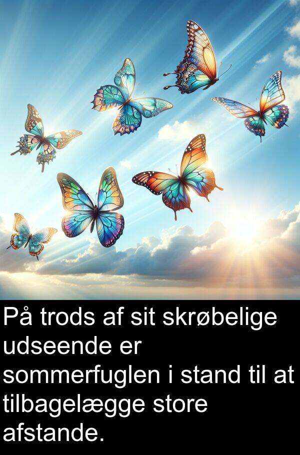 afstande: På trods af sit skrøbelige udseende er sommerfuglen i stand til at tilbagelægge store afstande.
