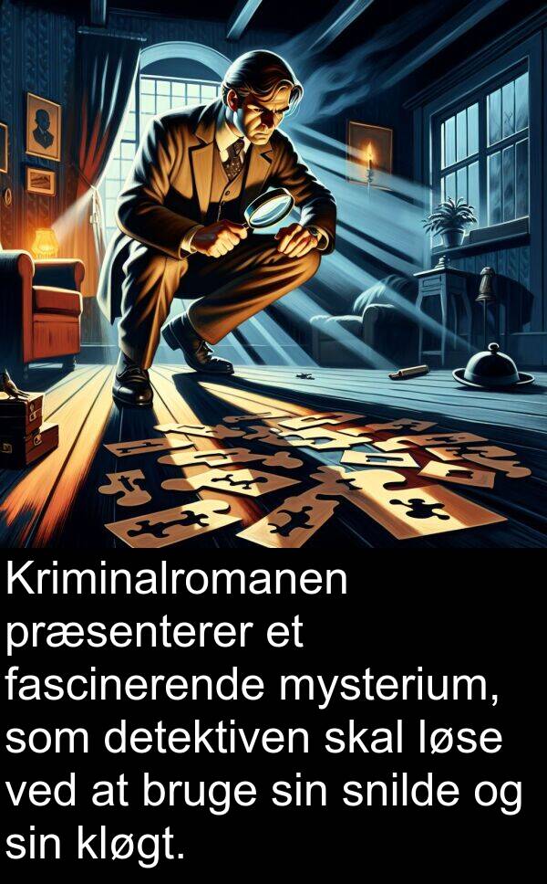 mysterium: Kriminalromanen præsenterer et fascinerende mysterium, som detektiven skal løse ved at bruge sin snilde og sin kløgt.