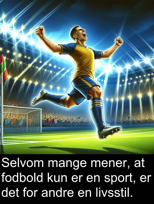kun: Selvom mange mener, at fodbold kun er en sport, er det for andre en livsstil.