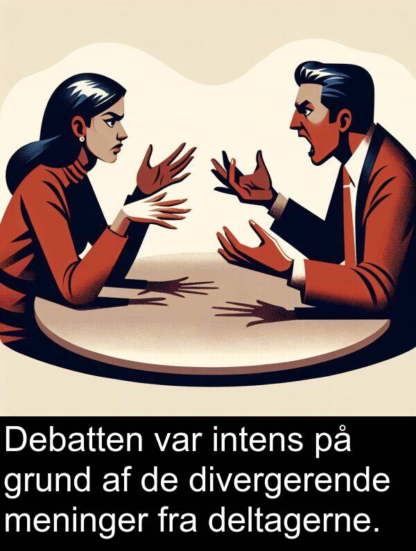 grund: Debatten var intens på grund af de divergerende meninger fra deltagerne.