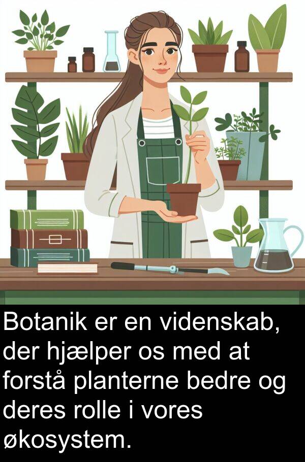 økosystem: Botanik er en videnskab, der hjælper os med at forstå planterne bedre og deres rolle i vores økosystem.