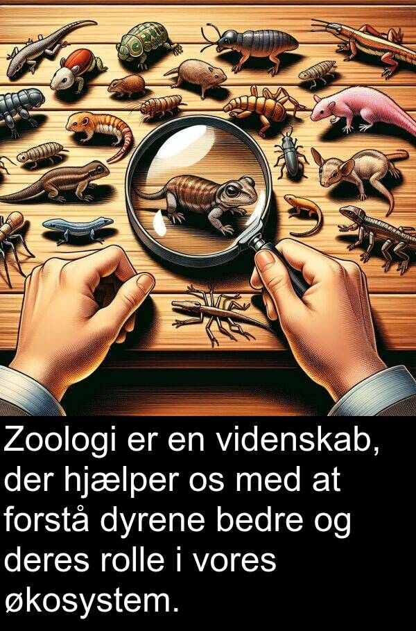 økosystem: Zoologi er en videnskab, der hjælper os med at forstå dyrene bedre og deres rolle i vores økosystem.