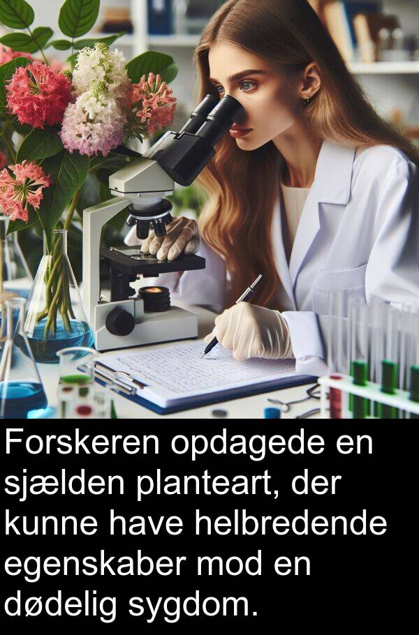 sjælden: Forskeren opdagede en sjælden planteart, der kunne have helbredende egenskaber mod en dødelig sygdom.