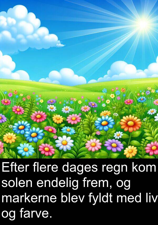 frem: Efter flere dages regn kom solen endelig frem, og markerne blev fyldt med liv og farve.