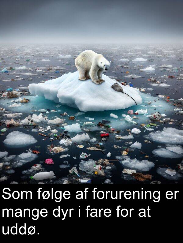 uddø: Som følge af forurening er mange dyr i fare for at uddø.