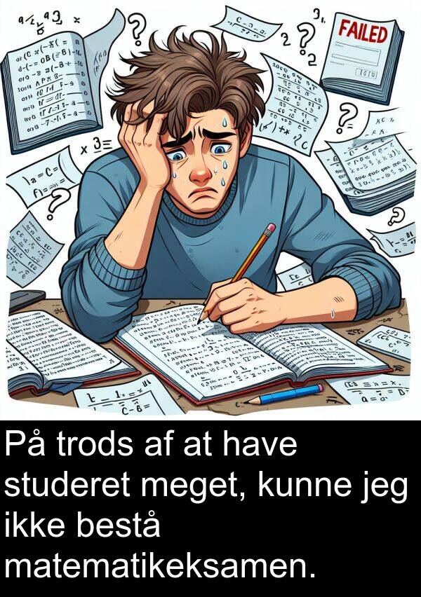 matematikeksamen: På trods af at have studeret meget, kunne jeg ikke bestå matematikeksamen.