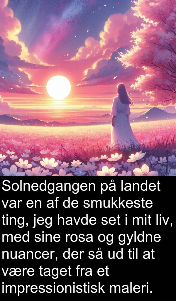 nuancer: Solnedgangen på landet var en af de smukkeste ting, jeg havde set i mit liv, med sine rosa og gyldne nuancer, der så ud til at være taget fra et impressionistisk maleri.