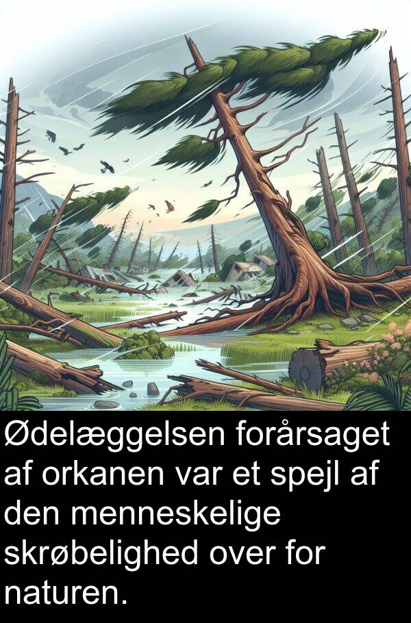 menneskelige: Ødelæggelsen forårsaget af orkanen var et spejl af den menneskelige skrøbelighed over for naturen.