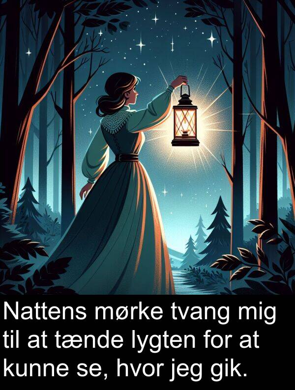 mørke: Nattens mørke tvang mig til at tænde lygten for at kunne se, hvor jeg gik.