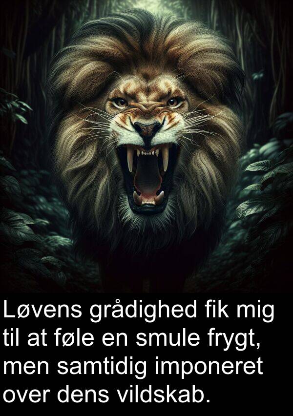 vildskab: Løvens grådighed fik mig til at føle en smule frygt, men samtidig imponeret over dens vildskab.